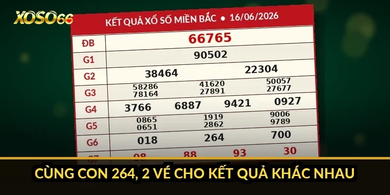 Cùng con 264, 2 vé cho kết quả khác nhau thế nào?